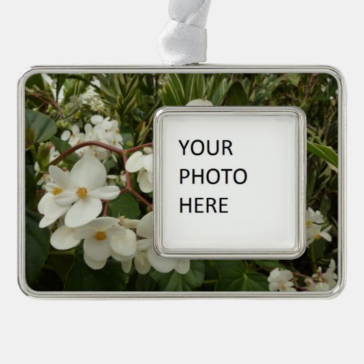 Tropical White Begonia Floral Verzilverd Omlijst Ornament (Voorkant)