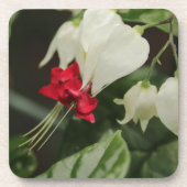 Tropisch aanvulOnderzetter instellen Bier Onderzetter (Voorkant)