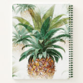 Tropisch anananaseprecept boek (Achterkant)