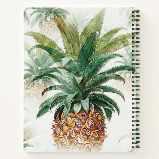 Tropisch anananaseprecept boek (Achterkant)