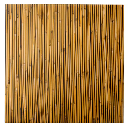 Tropisch Bamboe Achtergrond Tropisch eiland Blank Tegeltje (Voorkant)