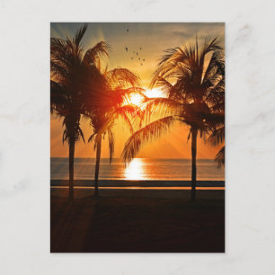 TROPISCH BEDRIJF SUNSET BRIEFKAARTEN