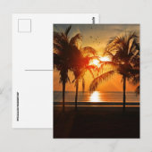 TROPISCH BEDRIJF SUNSET BRIEFKAARTEN (Voorkant / Achterkant)