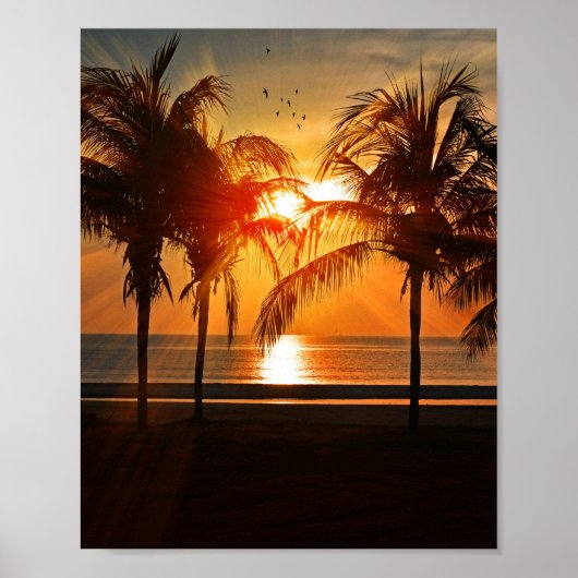 TROPISCH BEELD 8X10 POSTER (Voorkant)