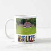 Tropisch Belize Ancient Mayan Ruin Temple Foto Koffiemok (Links)
