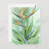 Tropisch bladervogel van het paradijsje - meervoud briefkaart (Voorkant / Achterkant)