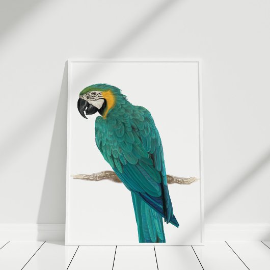 Tropisch blauw Macaw Handtekening Illustratie Post Poster