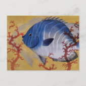 tropisch blauw viskoraal in de zee briefkaart (Voorkant)