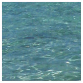 Tropisch blauw zeewater 2 stof (Close Up)
