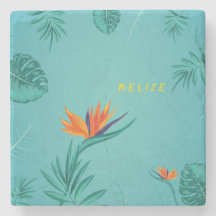 Tropisch Blauwgroen Blauw Groen Palmmonogram Beliz