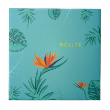 Tropisch Blauwgroen Blauw Groen Palmmonogram Beliz