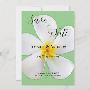 Tropisch Bloemmotief, Witte Plumeria op Salie, Tro Save The Date