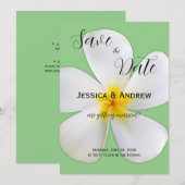 Tropisch Bloemmotief, Witte Plumeria op Salie, Tro Save The Date (Voorkant / Achterkant)