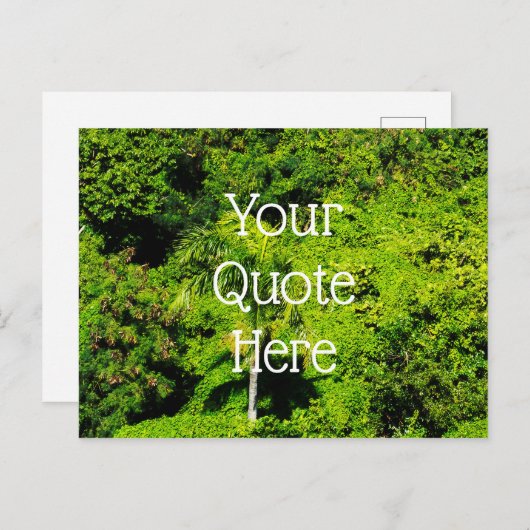 Tropisch bos briefkaart (Voorkant / Achterkant)