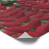 Tropisch bos met apen, 1910 (olie op doek) poster (Hoek)