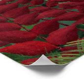 Tropisch bos met apen door Henri Rousseau. Poster (Hoek)