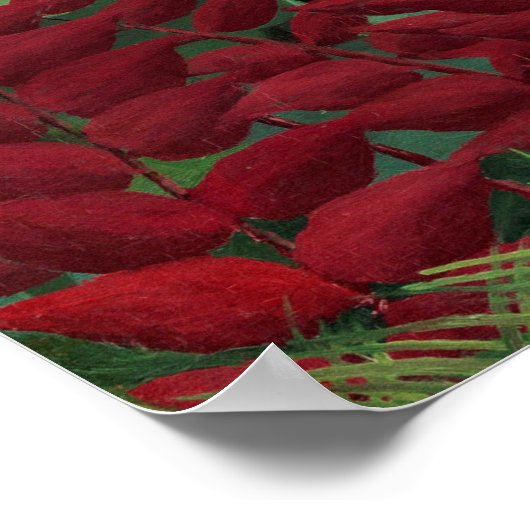 Tropisch bos met apen door Henri Rousseau. Poster (Hoek)