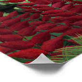 Tropisch bos met apen door Henri Rousseau. Poster (Hoek)