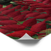 Tropisch bos met apen door Henri Rousseau. Poster (Hoek)