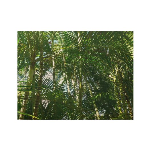 Tropisch bos van Palm Trees Houten Poster (Voorkant)
