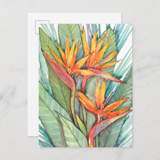 Tropisch botanisch paradijs II Briefkaart (Voorkant / Achterkant)