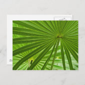 Tropisch Briefkaart (Voorkant / Achterkant)