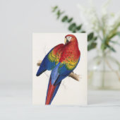 Tropisch Briefkaart (Staand voorkant)