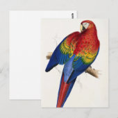 Tropisch Briefkaart (Voorkant / Achterkant)