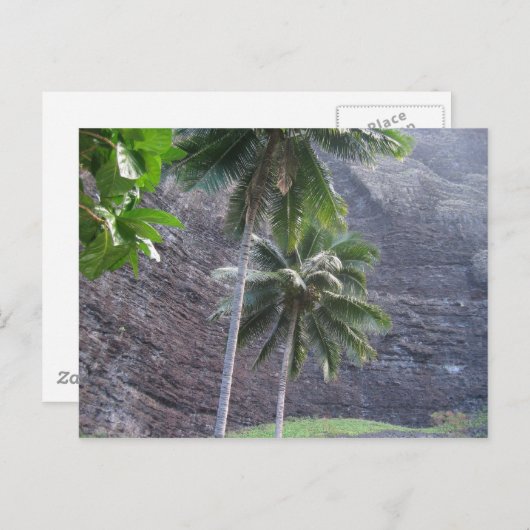 Tropisch Briefkaart (Voorkant / Achterkant)