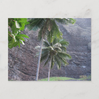 Tropisch Briefkaart