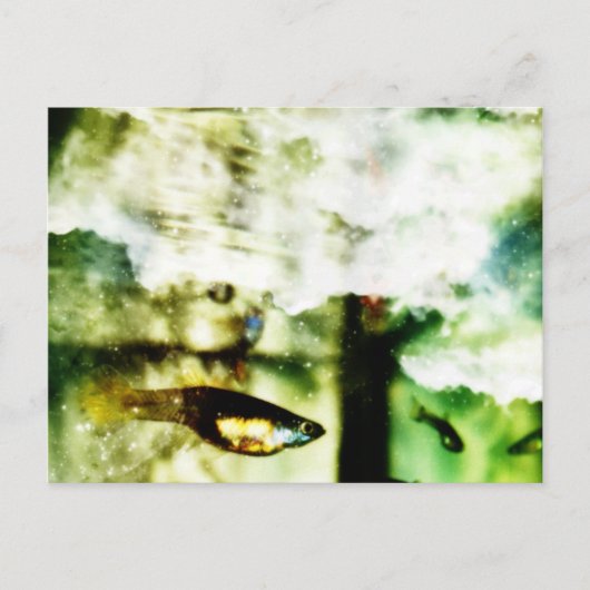 Tropisch Briefkaart (Voorkant)