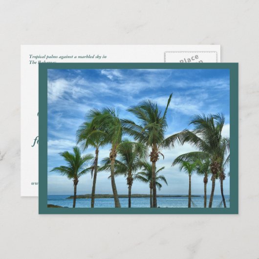 Tropisch Briefkaart vanmiddag (Voorkant / Achterkant)