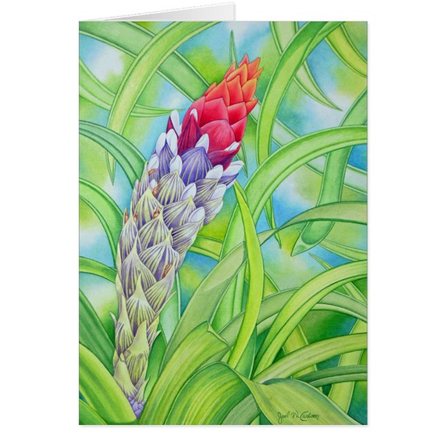 Tropisch Bromeliad (Voorkant)
