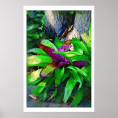 Tropisch Bromeliad Poster (Voorkant)