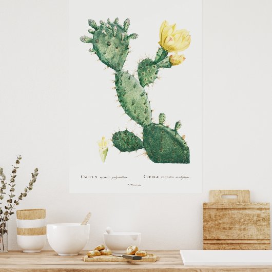 Tropisch  Cactus Poster (Keuken)