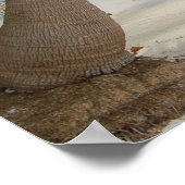 Tropisch Caribisch eiland Belize Strand en Palmen Poster (Hoek)