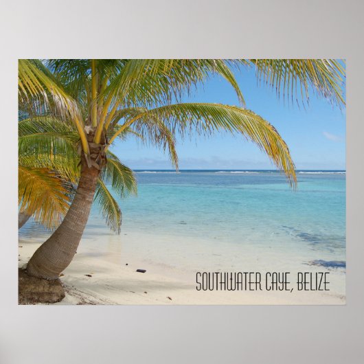 Tropisch Caribisch eiland Belize Strand en Palmen Poster (Voorkant)