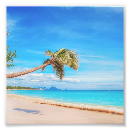 Tropisch Caribisch strand Foto Afdruk (Voorkant)