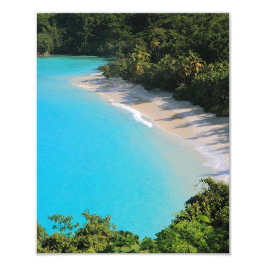 Tropisch Caribische eilandstrand Foto Afdruk (Voorkant)