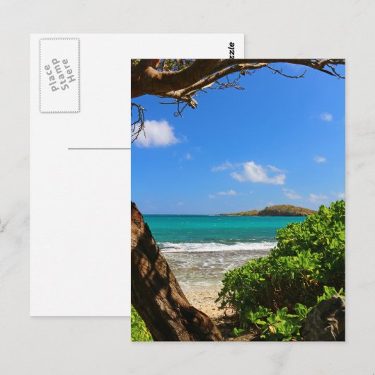 Tropisch Caribische strand Briefkaart (Voorkant / Achterkant)