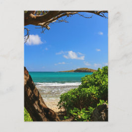 Tropisch Caribische strand Briefkaart