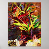 Tropisch codiaeum - Croton Poster (Voorkant)