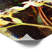 Tropisch codiaeum - Croton Poster (Hoek)