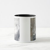 Tropisch cycloon Aila Mok (Midden)