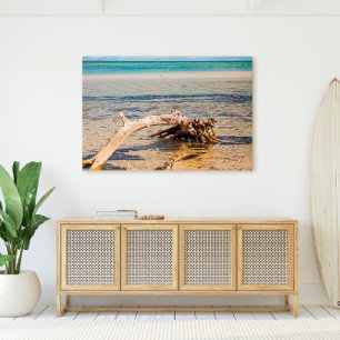 Tropisch drijfhout Bahia Honda Beach Foto Canvas Afdruk