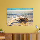 Tropisch drijfhout Bahia Honda Beach Foto Canvas Afdruk (Insitu (Woonkamer))