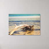 Tropisch drijfhout Bahia Honda Beach Foto Canvas Afdruk (Voorkant)