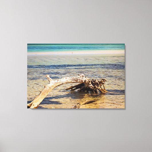 Tropisch drijfhout Bahia Honda Beach Foto Canvas Afdruk (Voorkant)