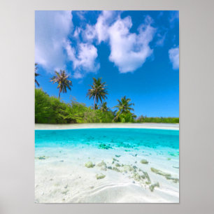 Tropisch eiland Coconut Palm Beach Poster