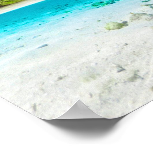 Tropisch eiland Coconut Palm Beach Poster (Hoek)